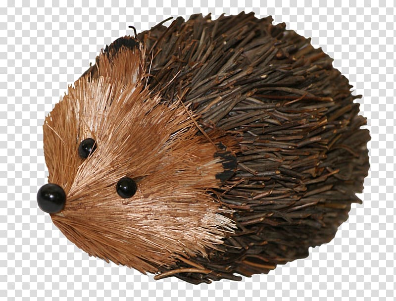 Domesticated hedgehog Porcupine Echidna, Hand drawn hedgehog transparent background PNG clipart
