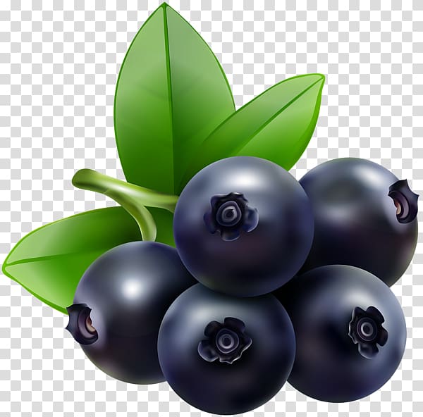 Blueberry Bilberry Food , blueberries transparent background PNG clipart
