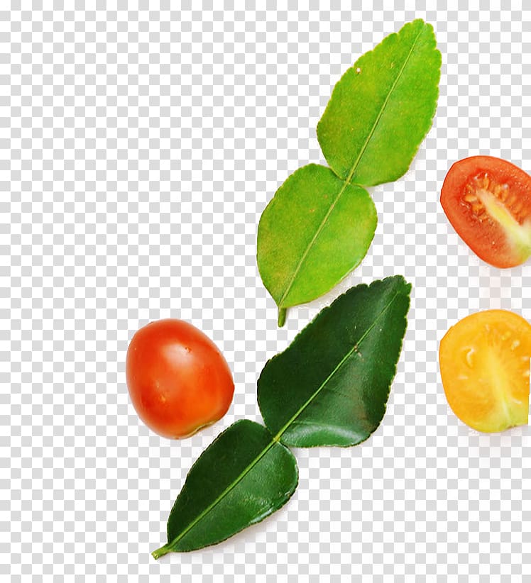 Zongzi Shrimp and prawn as food Take-out Ingredient, Leaves and tomato transparent background PNG clipart