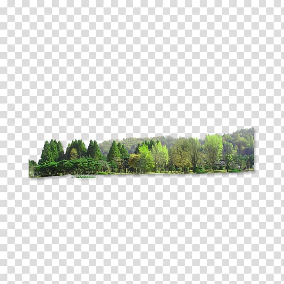 Landscape , forest transparent background PNG clipart