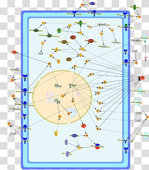 Line Point Angle Diagram, line transparent background PNG clipart thumbnail