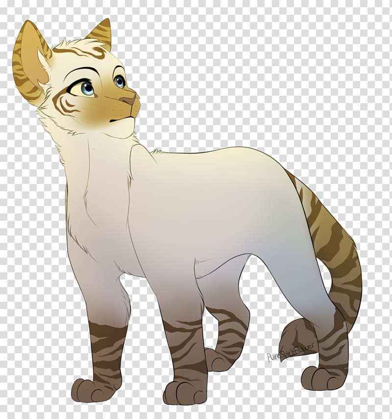 Cat Whiskers Warriors ThunderClan Tiger, Cat transparent background PNG clipart