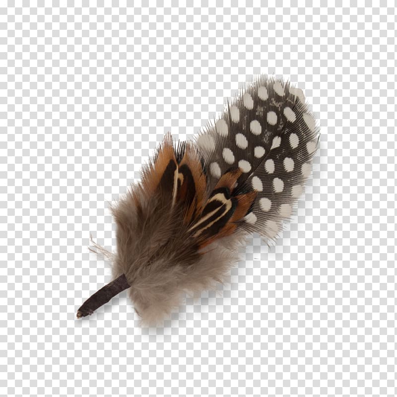 Feather Goorin Bros. Hat Hair Brown, Feather Hat transparent background PNG clipart