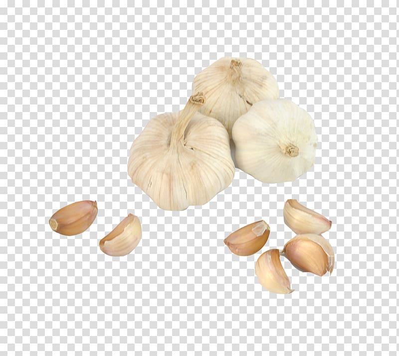 three cloves of garlic, Solo garlic Baidu Knows u7981u8477u98df Knowledge, garlic transparent background PNG clipart