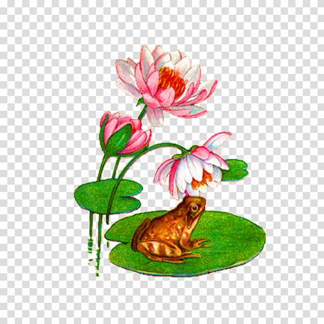 Koi Water lily Frog Mousepad Pond, Pink Simple Lotus Frog Decorative Patterns transparent background PNG clipart