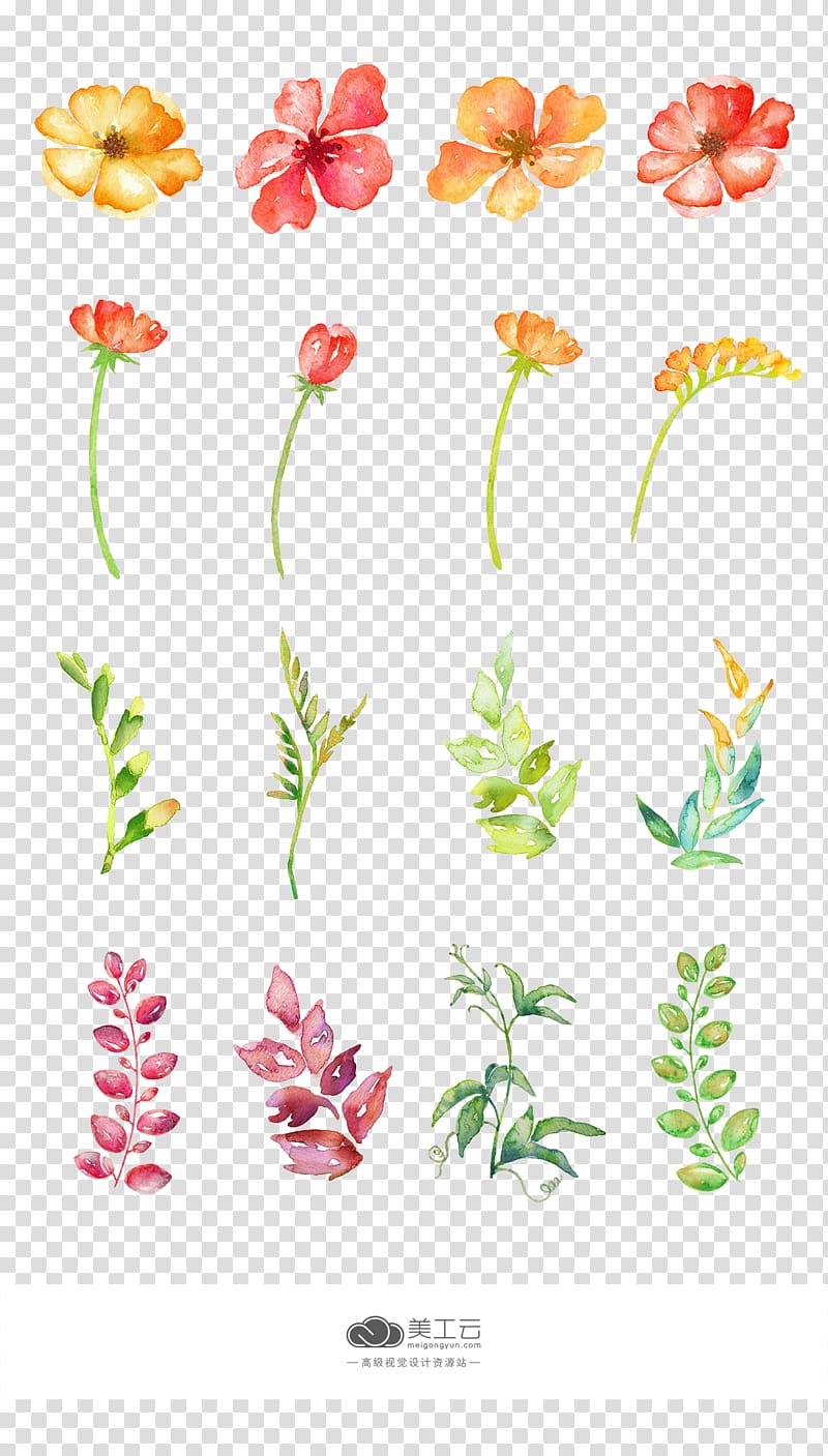 hand painted watercolor pattern background material transparent background PNG clipart