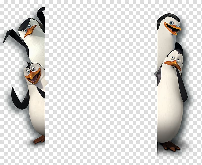 Skipper Kowalski Melman Madagascar, others transparent background PNG clipart