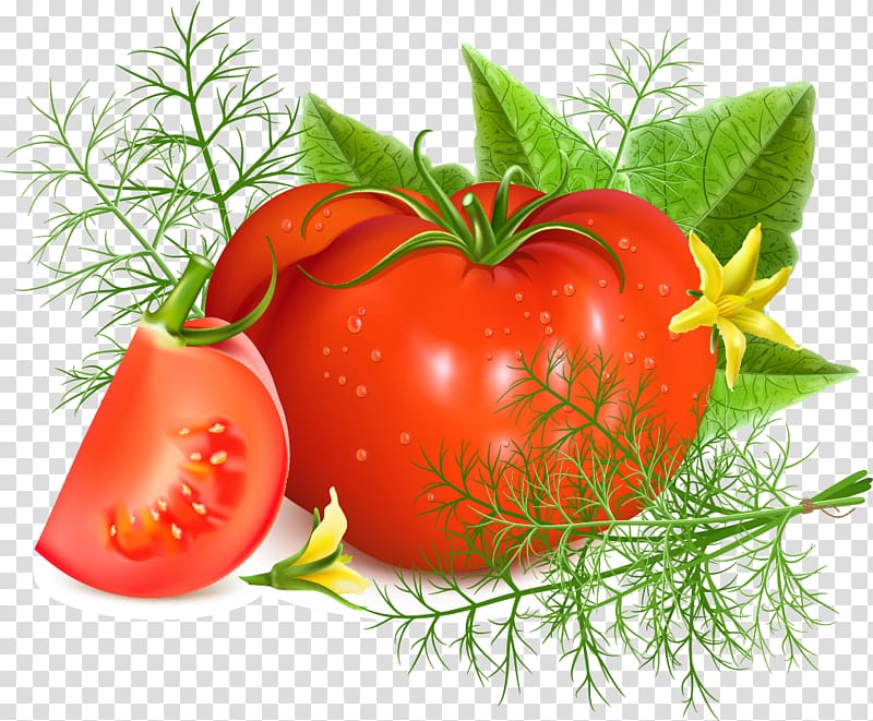 Tomato soup, tomato transparent background PNG clipart