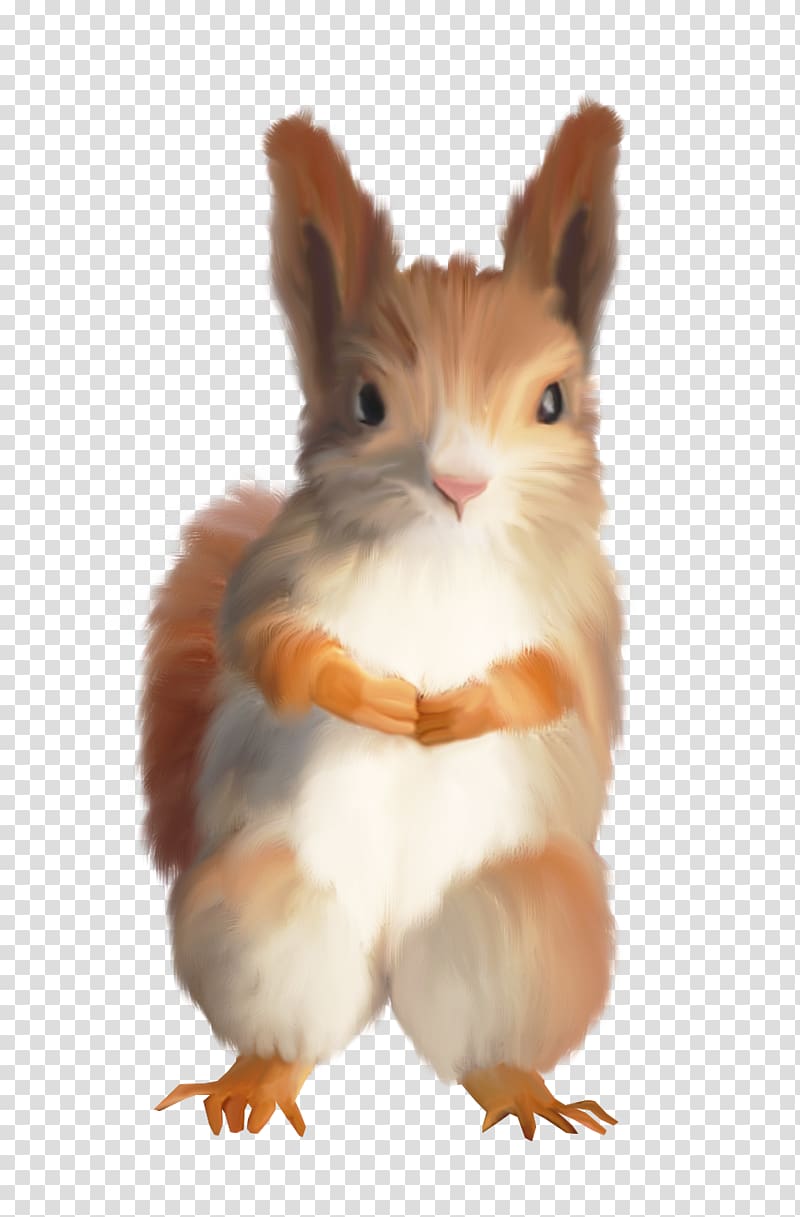 Tree squirrels Domestic rabbit Hare , Brown Squirrel transparent background PNG clipart