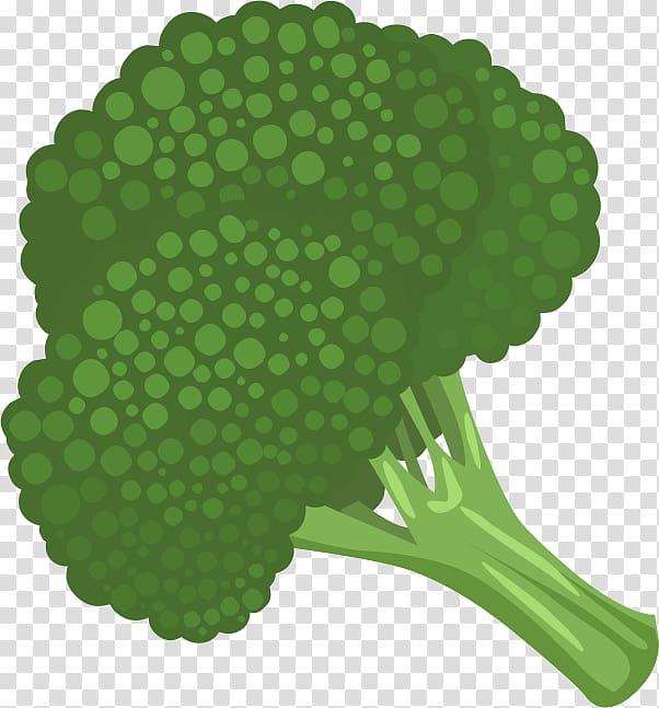 Broccoli Cauliflower Vegetable , Broccoli transparent background PNG clipart