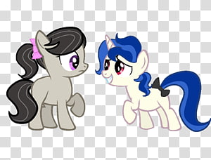 Pony Horse Cat , horse transparent background PNG clipart thumbnail