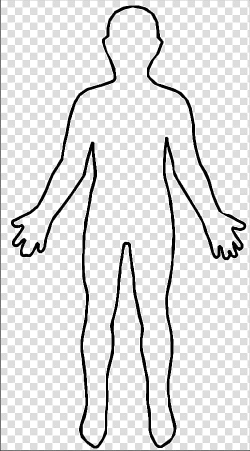 Human sketch, Human body Female body shape Homo sapiens Woman