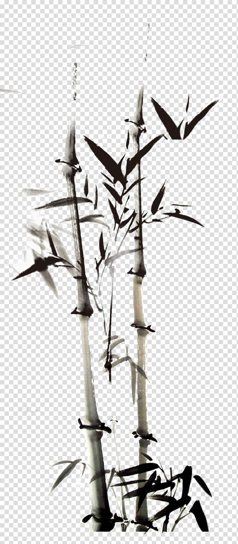 Ink wash painting Bamboo , bamboo transparent background PNG clipart