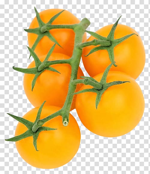 Tomato juice Cherry tomato Pumpkin tomato, vegetables transparent background PNG clipart