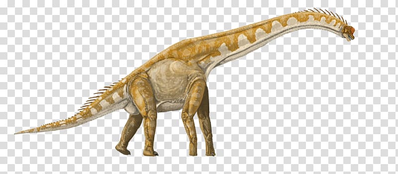 Brachiosaurus Lusotitan Giraffatitan Tyrannosaurus Apatosaurus, dinosaur transparent background PNG clipart