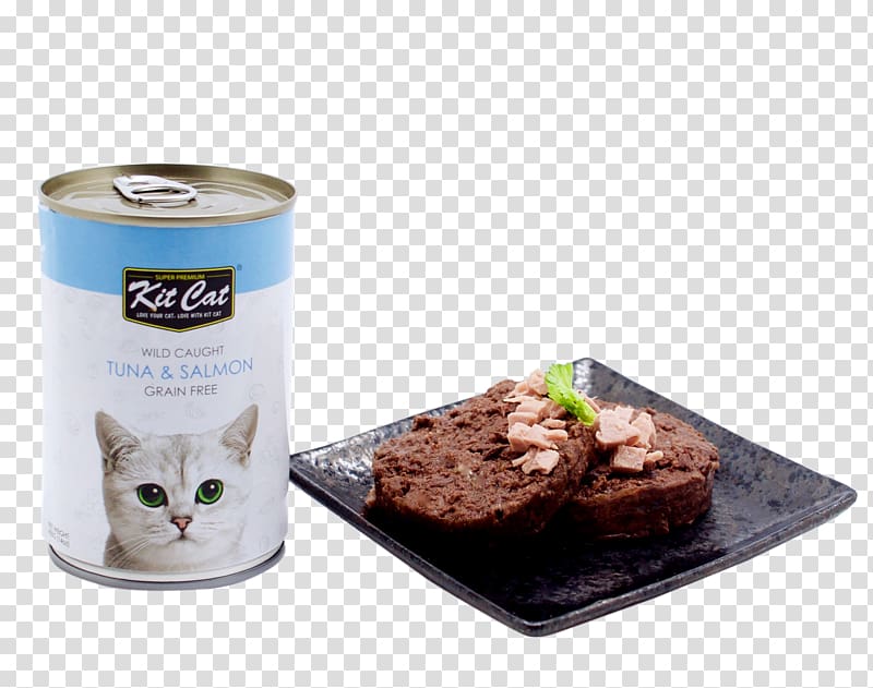 Cat Food Kitten Recipe, wild cats transparent background PNG clipart