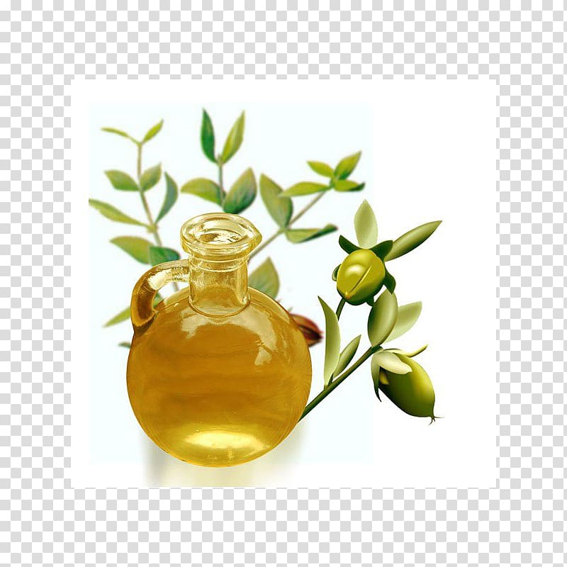 Jojoba oil Essential oil Cosmetology, oil transparent background PNG clipart