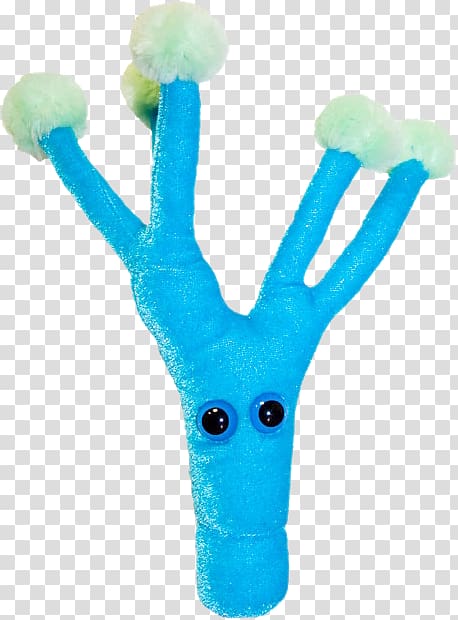 Penicillium chrysogenum GIANTmicrobes Stuffed Animals & Cuddly Toys Penicillin Microorganism, toy transparent background PNG clipart
