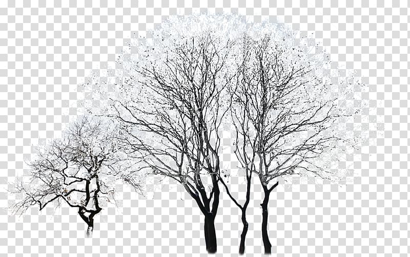 snowy trees transparent background PNG clipart