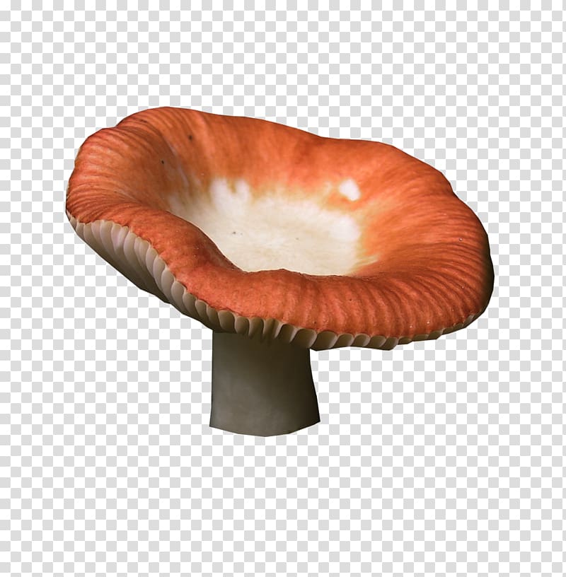 Fungus Death cap Digital , halberd transparent background PNG clipart