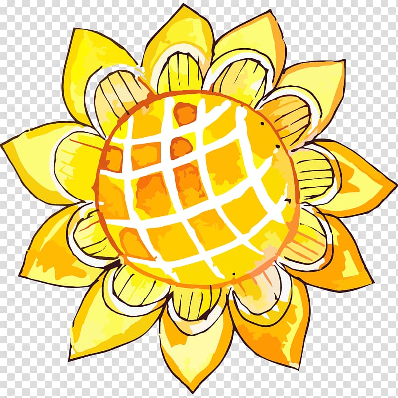 Common sunflower , Yellow sunflower transparent background PNG clipart