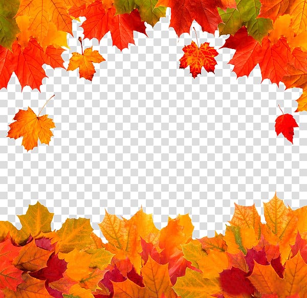 Autumn leaf color Red maple, Autumn leaves transparent background PNG clipart