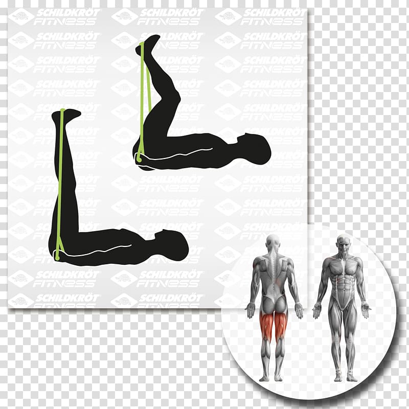 Physical fitness Balance board Exercise equipment Muscle Arm, fascia training transparent background PNG clipart