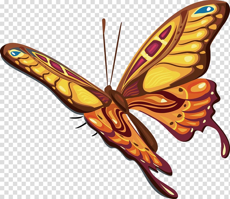 Butterfly , Fly exquisite transparent background PNG clipart