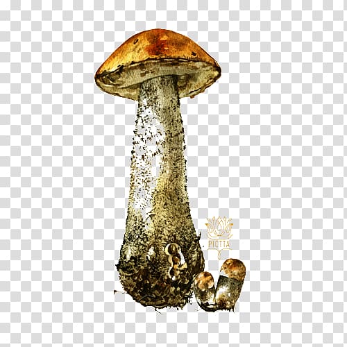 Mushroom Watercolor painting Illustration, Mushroom pattern transparent background PNG clipart