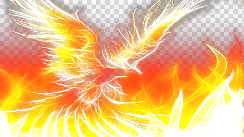 Phoenix High-definition video , flaming Phenix transparent background PNG clipart
