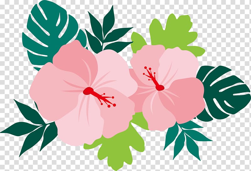 pink Hibiscus flower , Flower Euclidean Common Hibiscus, illustration of flowers transparent background PNG clipart