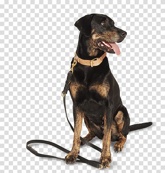 Manchester Terrier Leash Dog harness Collar Brustgeschirr, others transparent background PNG clipart