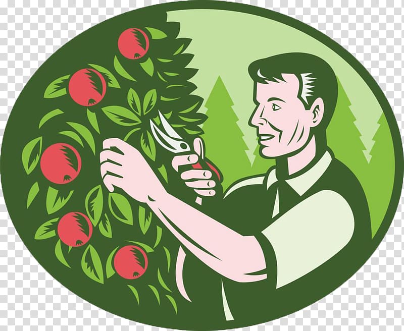 Fruit tree pruning Fruit tree pruning, Picking apple farmers transparent background PNG clipart