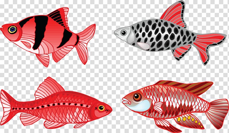 Veiltail Fish fin Aquarium Fish fin, fish transparent background PNG clipart