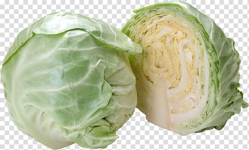Cabbage transparent background PNG clipart