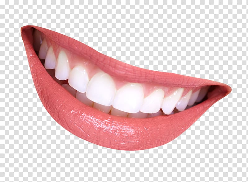 Mouth smile transparent background PNG clipart