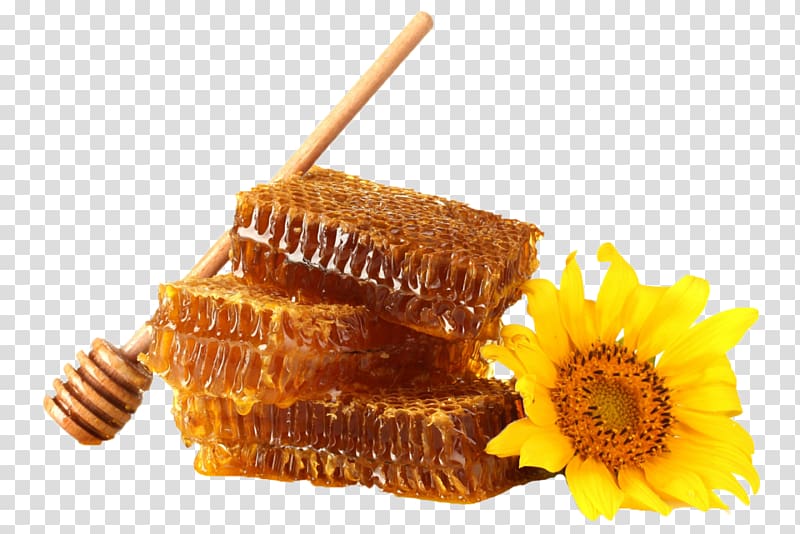 Bee Common sunflower Honeycomb Desktop , honey transparent background PNG clipart