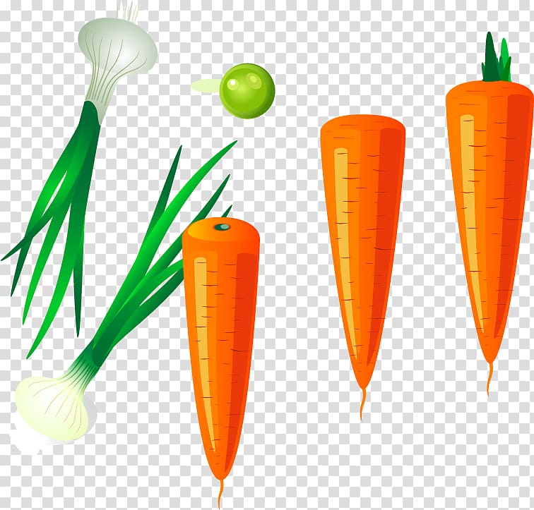 Carrot , garlic carrot material transparent background PNG clipart
