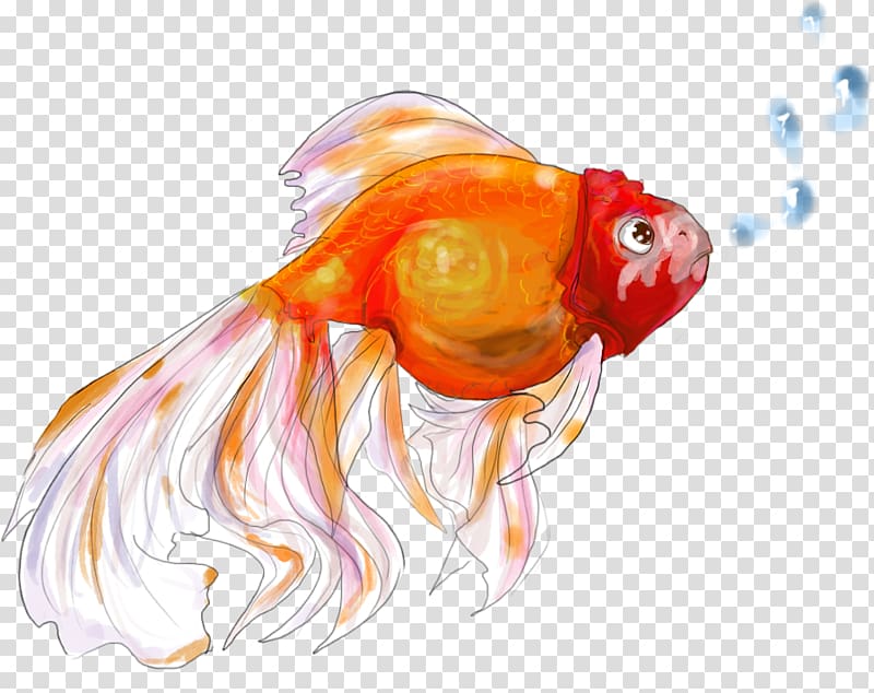 veiltail goldfish drawing