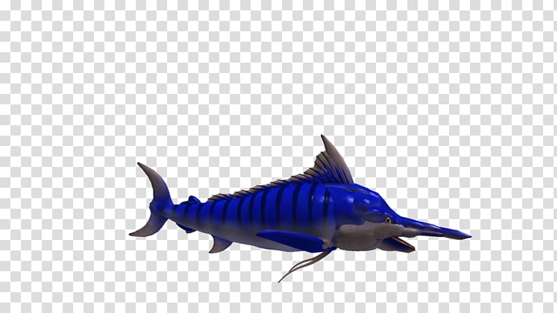 Shark Marine biology Bony fishes Marine mammal Cobalt blue, shark transparent background PNG clipart