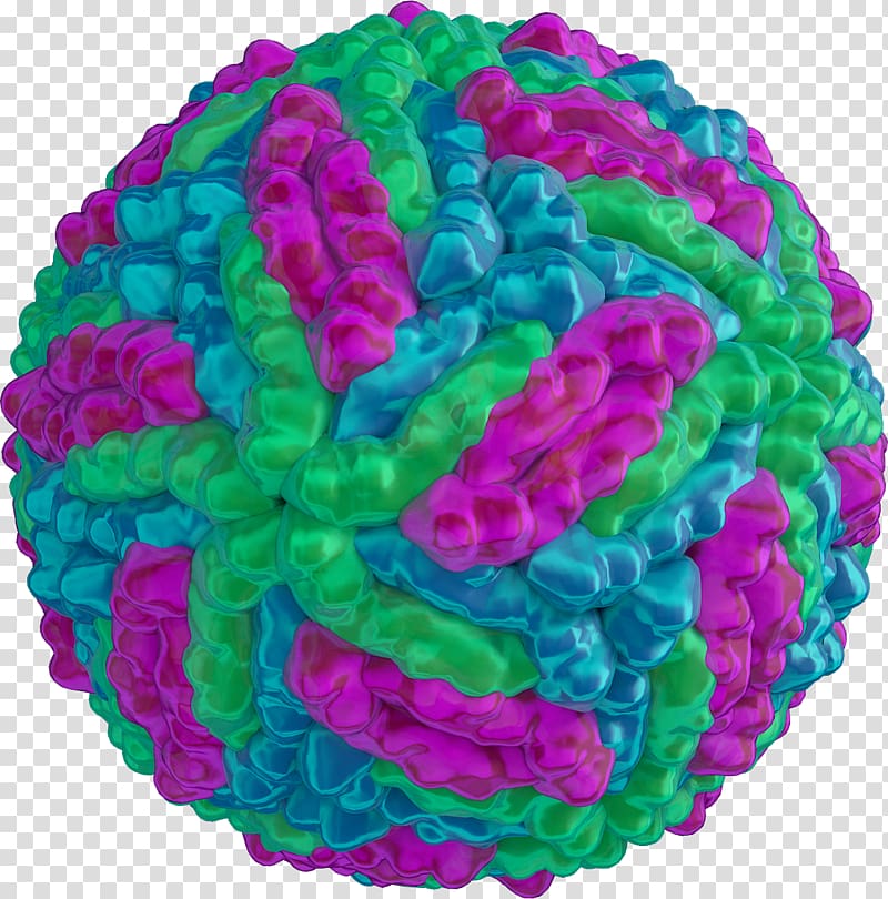 Zika virus Zika fever Capsid Viral protein, others transparent background PNG clipart