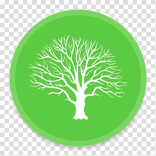iPhone MacFamilyTree Inno Memorial Desing Genealogy Cannabliss, family tree transparent background PNG clipart