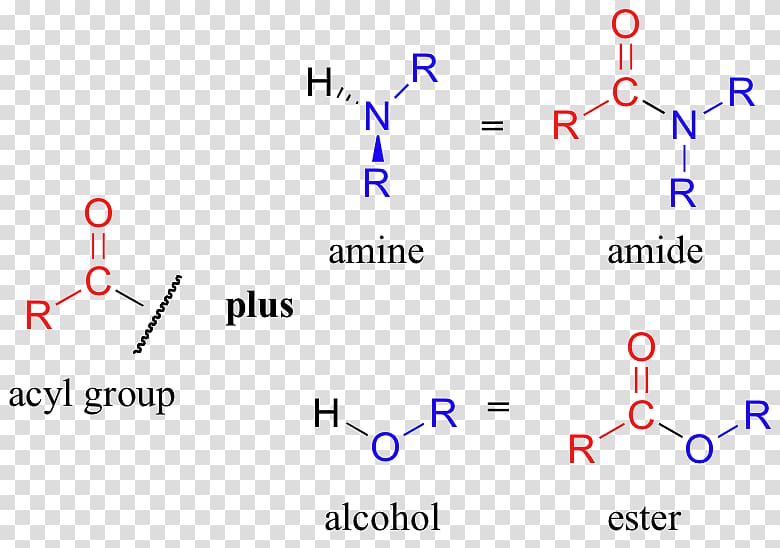 Amine Amide Acyl group Functional group Chemistry, others transparent background PNG clipart