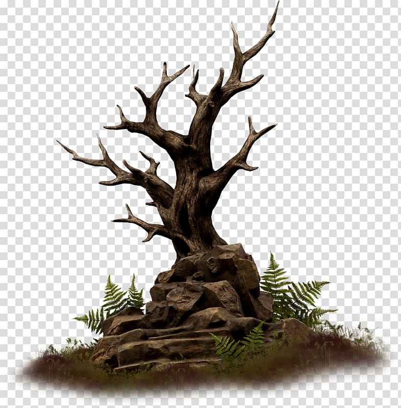 Wood Branch Rock Tree, wood transparent background PNG clipart