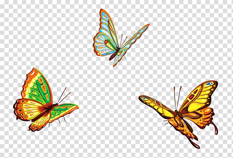 three yellow butterflies illustration, Butterfly Euclidean Graphic design Illustration, Three Butterflies transparent background PNG clipart