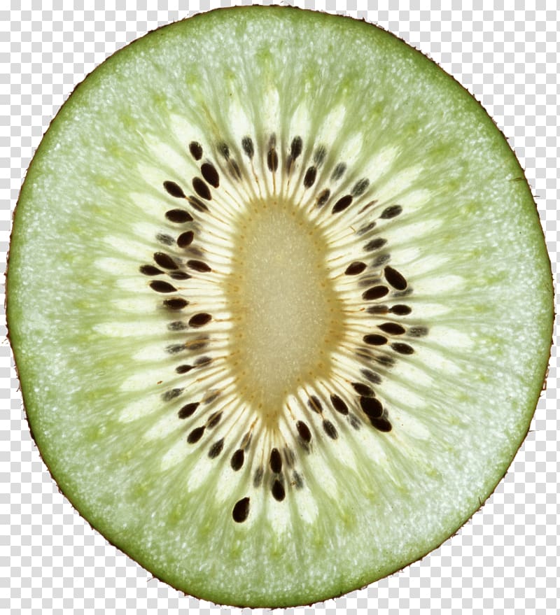 Kiwifruit, Kiwi , free fruit kiwi transparent background PNG clipart