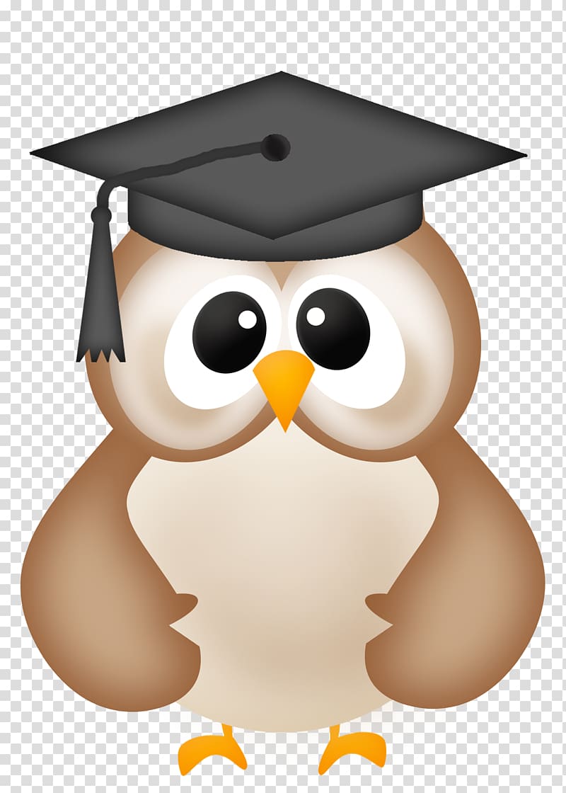 Owl Graduation ceremony , Graduation transparent background PNG clipart