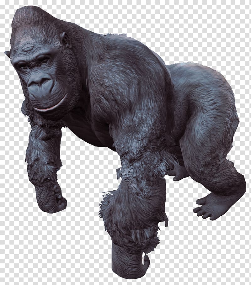 black gorilla , Gorilla transparent background PNG clipart