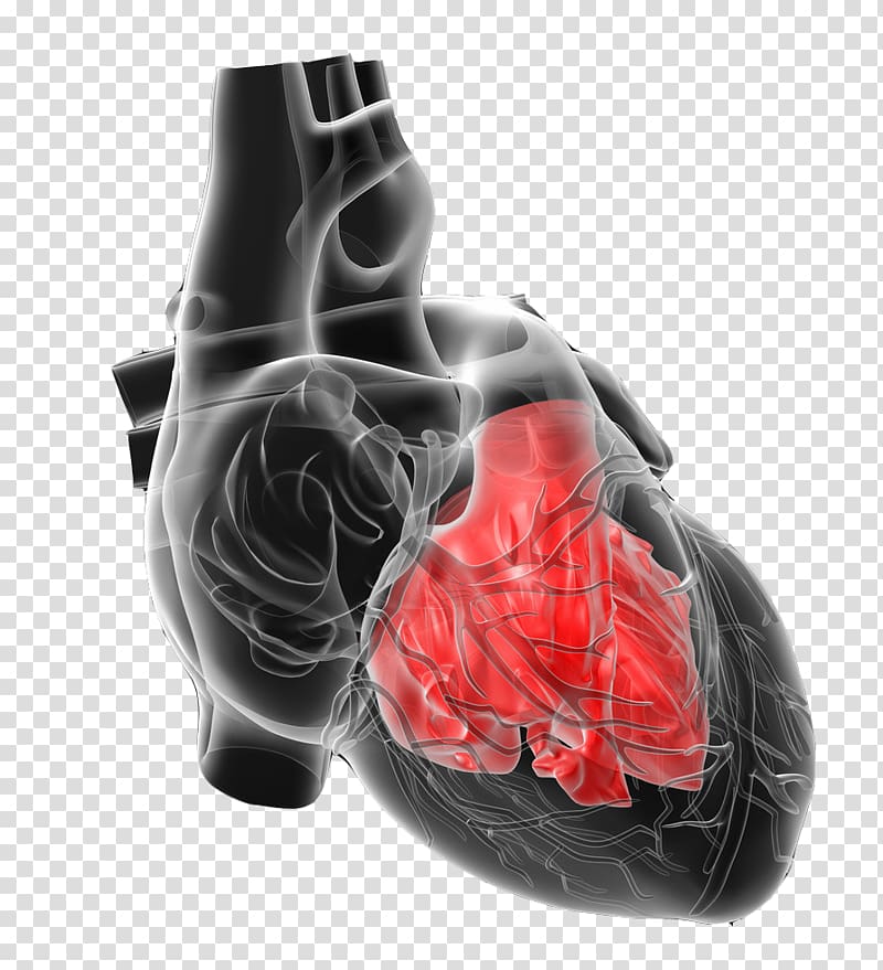 Heart perspective transparent background PNG clipart