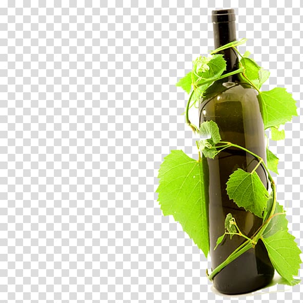 Red Wine Common Grape Vine Bottle Wine glass, Vine bottle transparent background PNG clipart